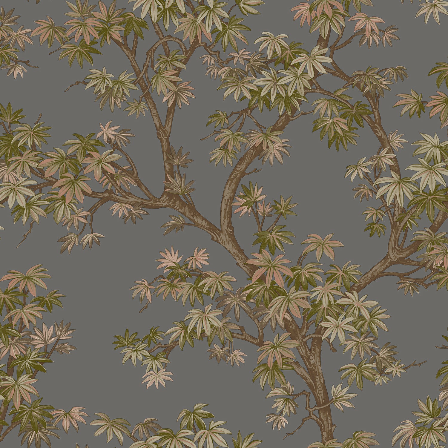 Paul Moneypenny Acer Tree Charcoal Wallpaper | 196801