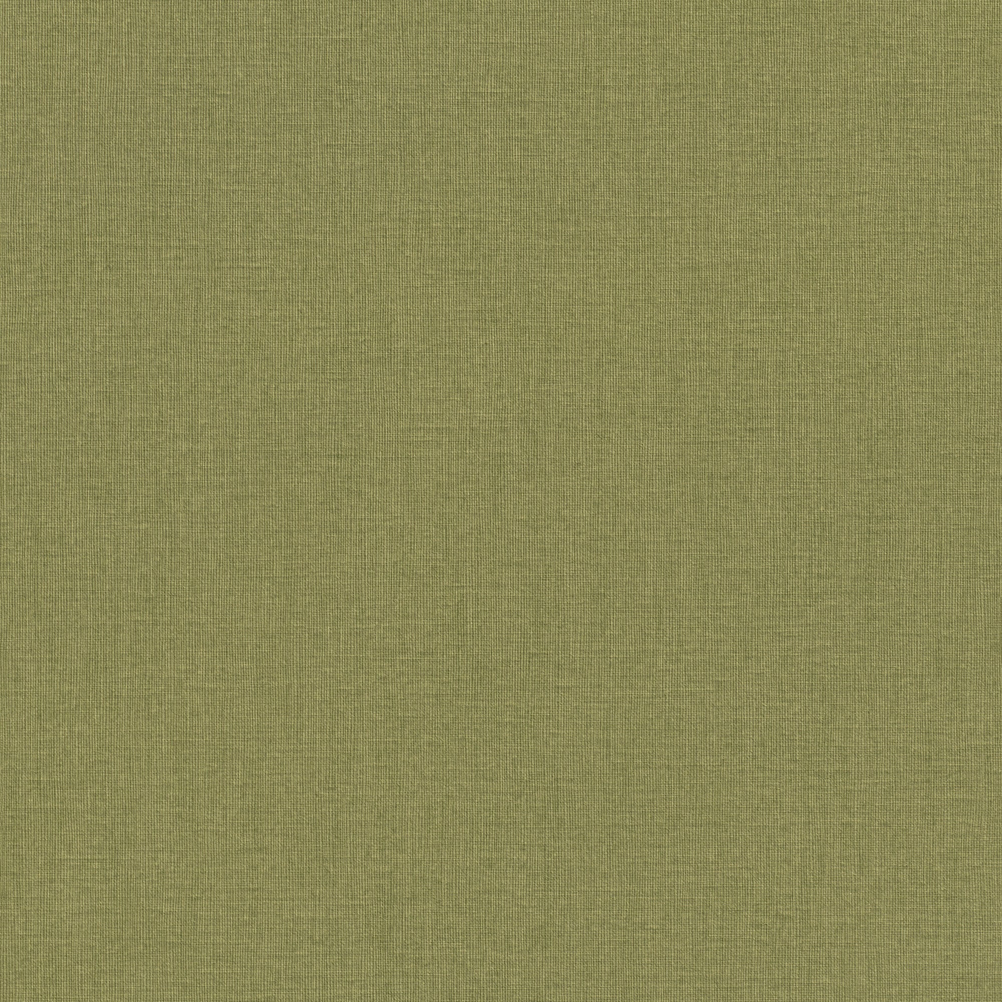 Emporium Linen Green Wallpaper | WonderWall by Nobletts | #Variant SKU# | Rasch