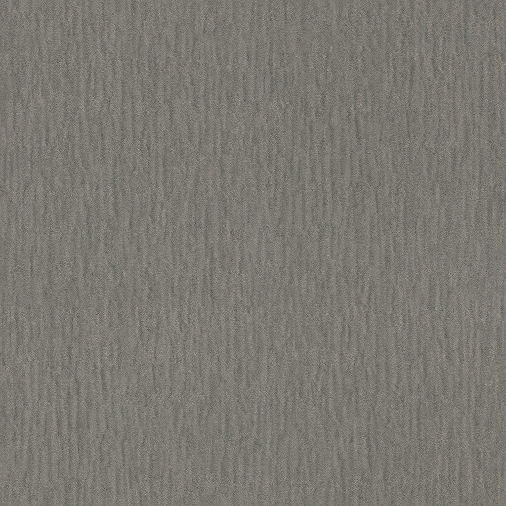 Trianon Plain Charcoal | WonderWall by Nobletts