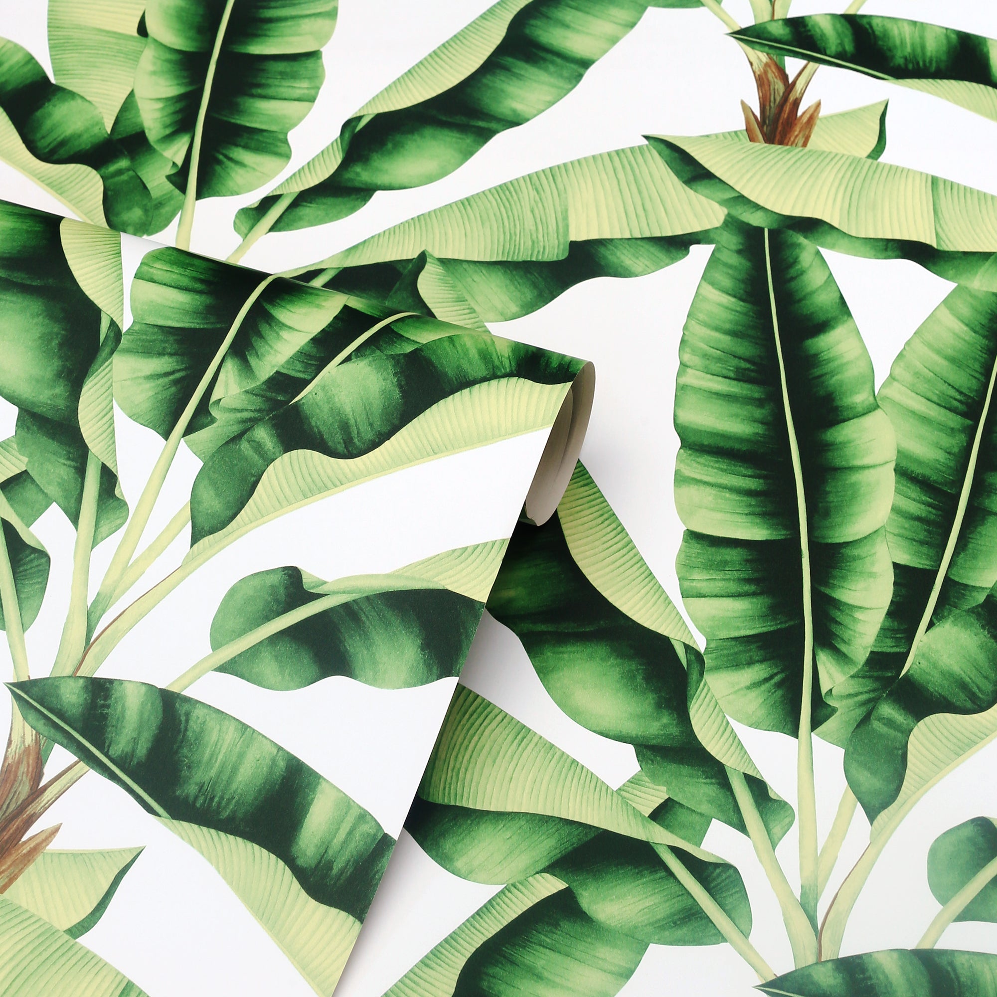 Musa Green Wallpaper | WonderWall by Nobletts | #Variant SKU# | Arthouse