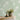 Grace Allium Green Wallpaper - Fine Decor Wallcoverings - FD43282