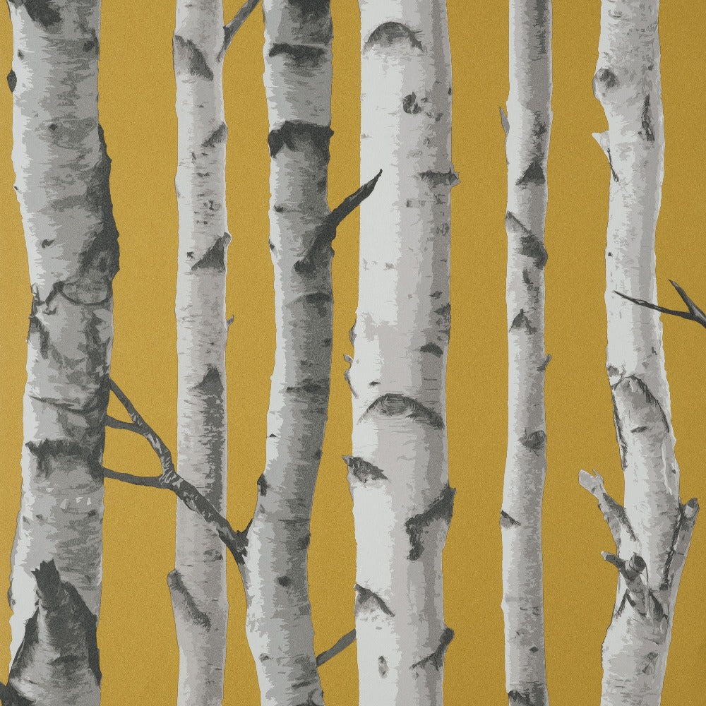 Birch Trees Mustard Wallpaper - Fine Decor Wallcoverings - FDFD43290